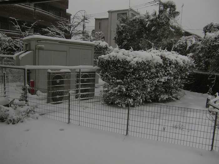 Gran nevada Tokyo. Febrero de 2014