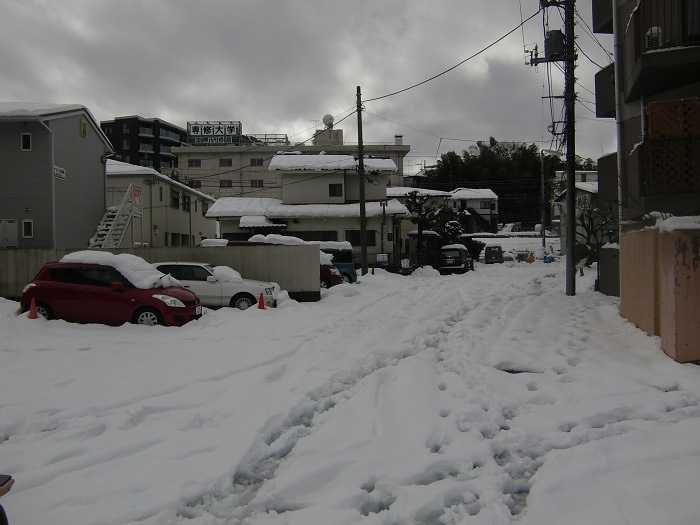 nieve_en-tokyo-la-otra-gran-nevada-en-japon-0180